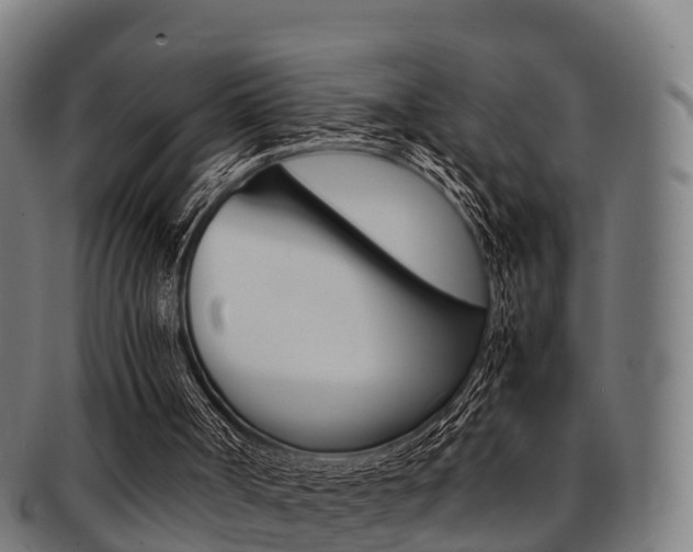 X0000091920002200709051240