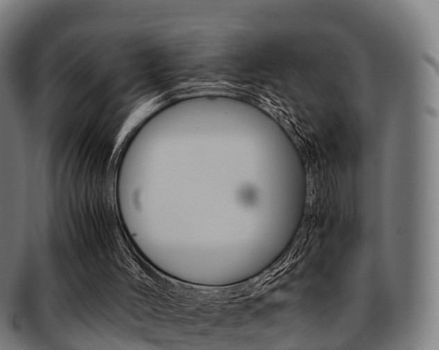 X0000091920004200709051240