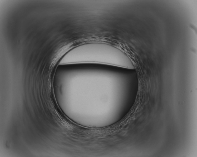 X0000091920005200709051240