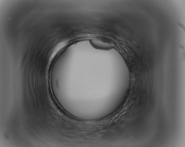X0000091920006200709051240