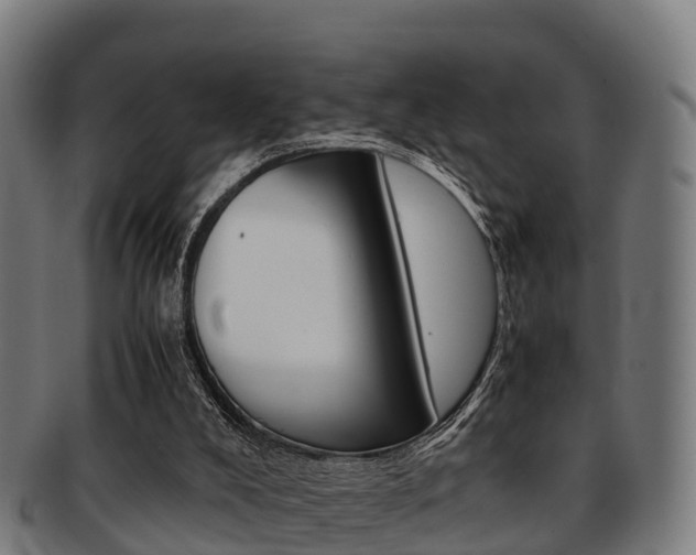 X0000091920008200709051240