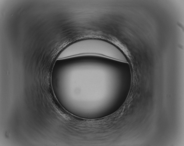 X0000091920009200709051240