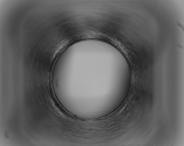 X0000091920010200709051240