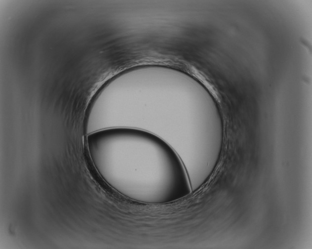 X0000091920011200709051240