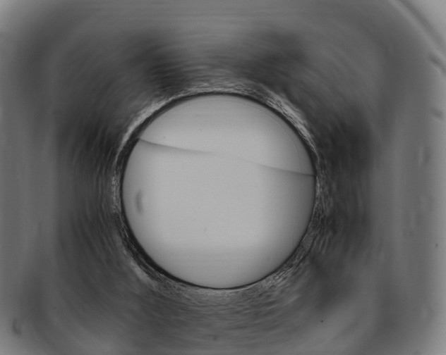 X0000091920012200709051240
