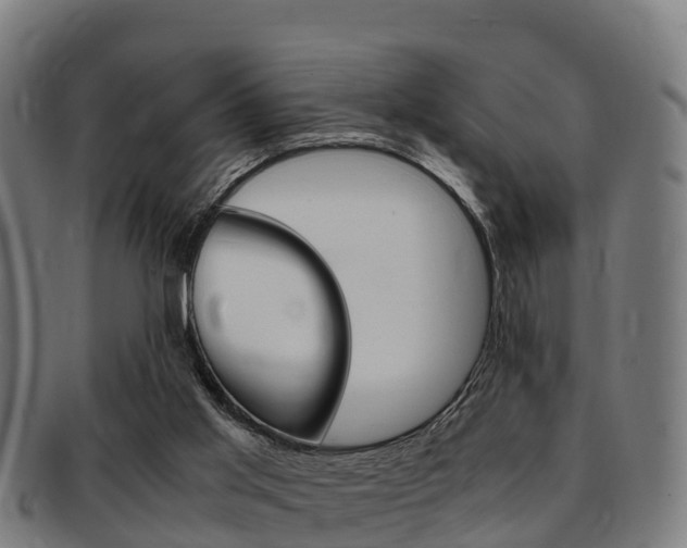 X0000091920013200709051240