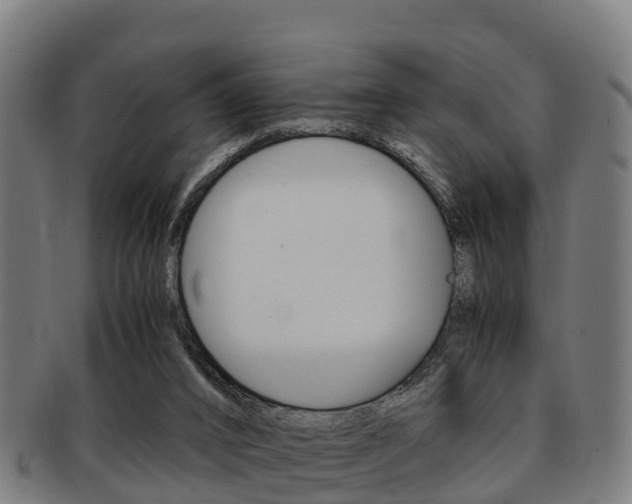 X0000091920016200709051240