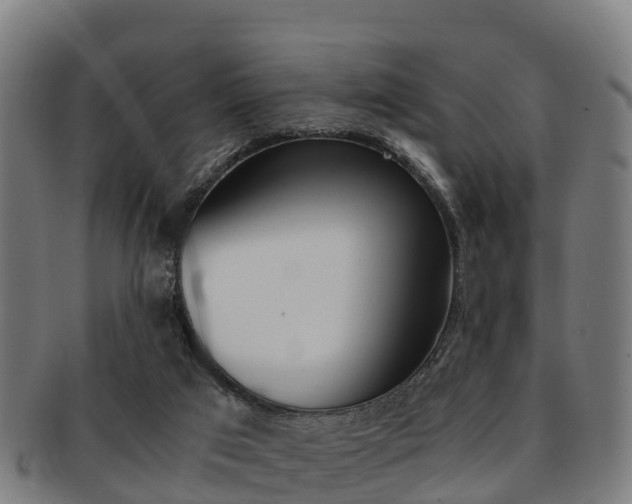 X0000091920017200709051240
