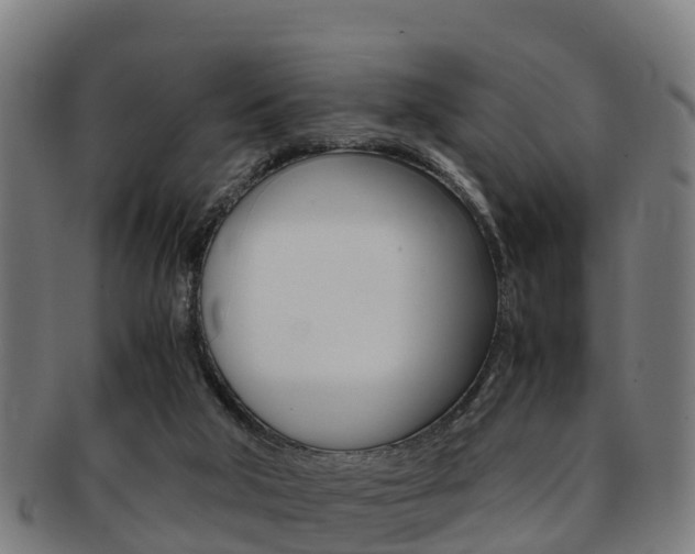 X0000091920018200709051240