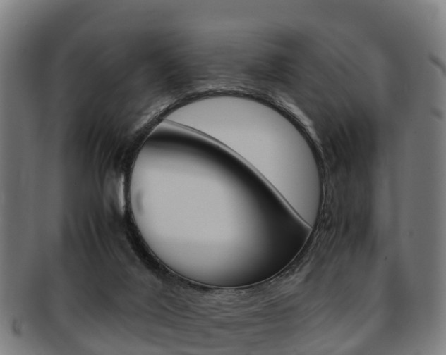 X0000091920020200709051240