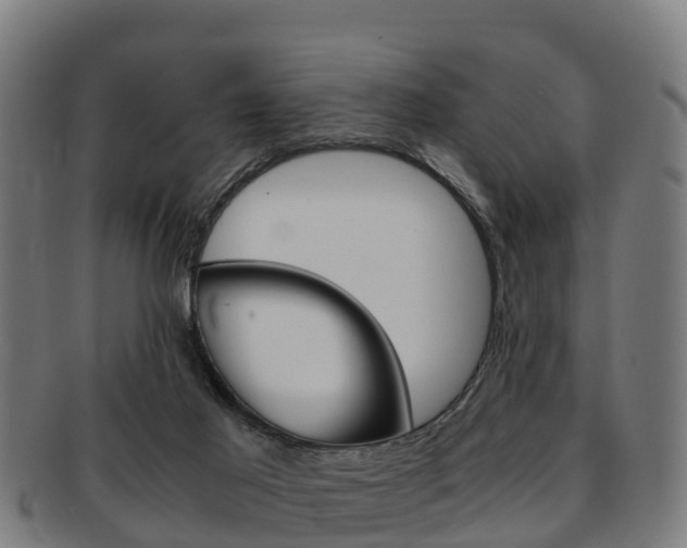 X0000091920021200709051239