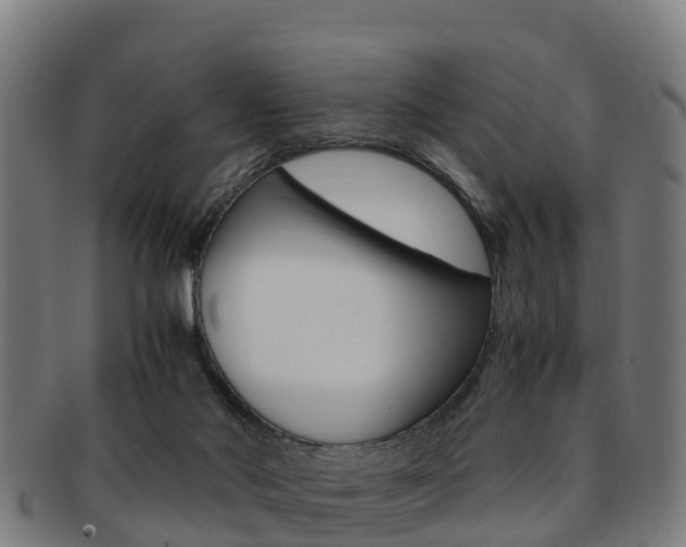 X0000091920022200709051239