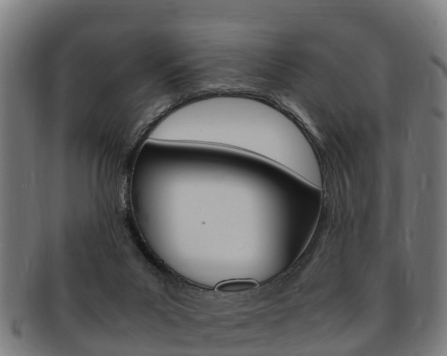 X0000091920023200709051239