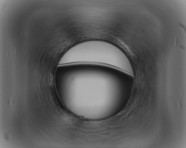 X0000091920025200709051239