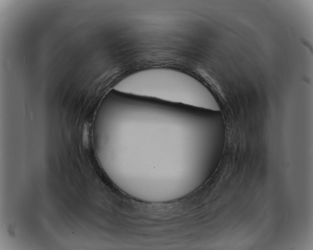 X0000091920026200709051239