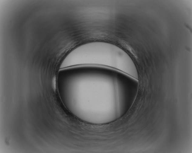 X0000091920027200709051239