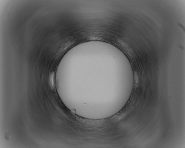 X0000091920028200709051239