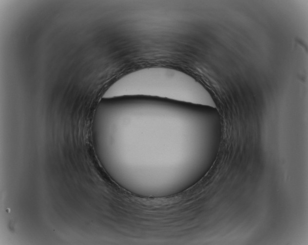 X0000091920030200709051239