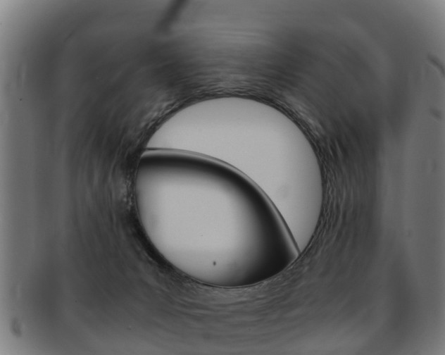 X0000091920031200709051239