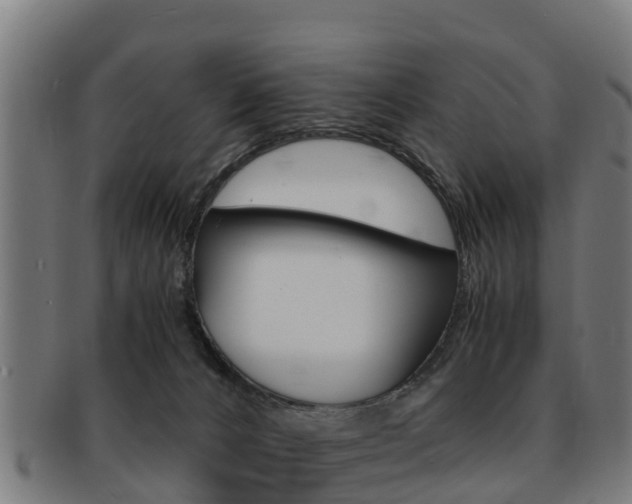 X0000091920032200709051239