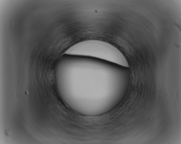 X0000091920034200709051239