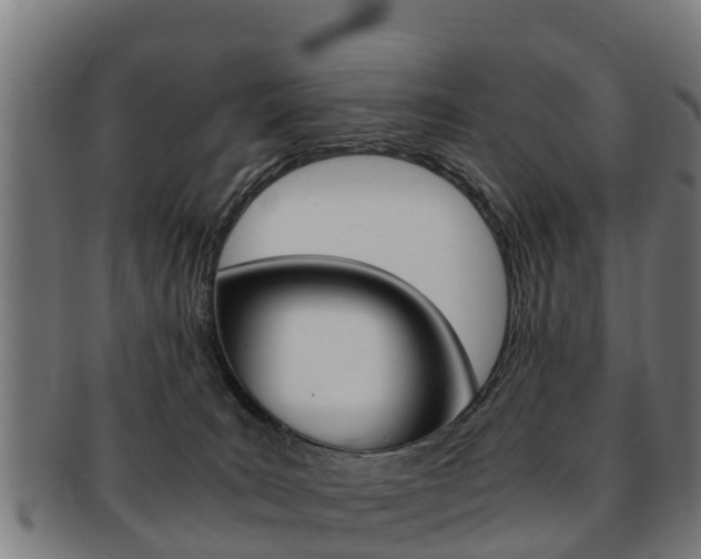 X0000091920035200709051239