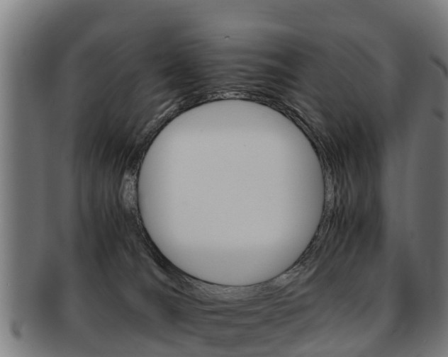 X0000091920036200709051239