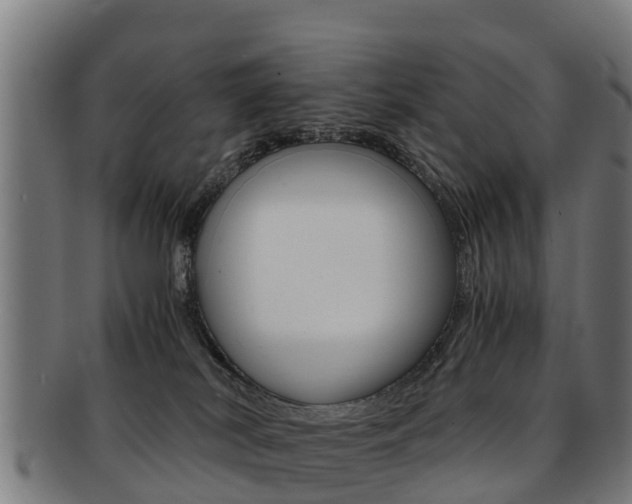 X0000091920038200709051239