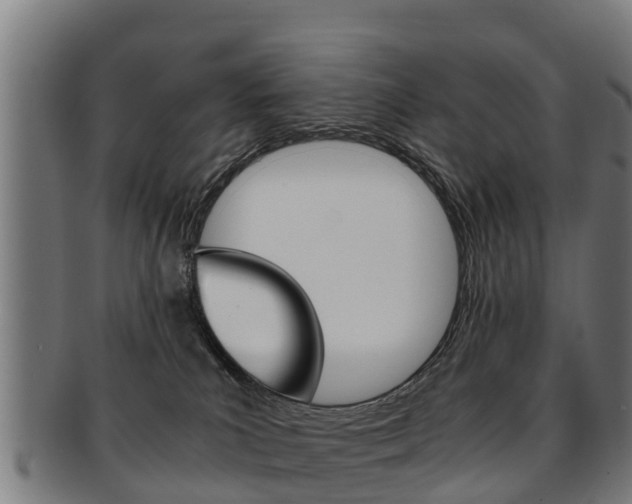 X0000091920039200709051239
