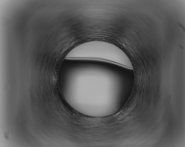 X0000091920040200709051239