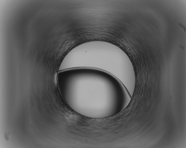 X0000091920041200709051239