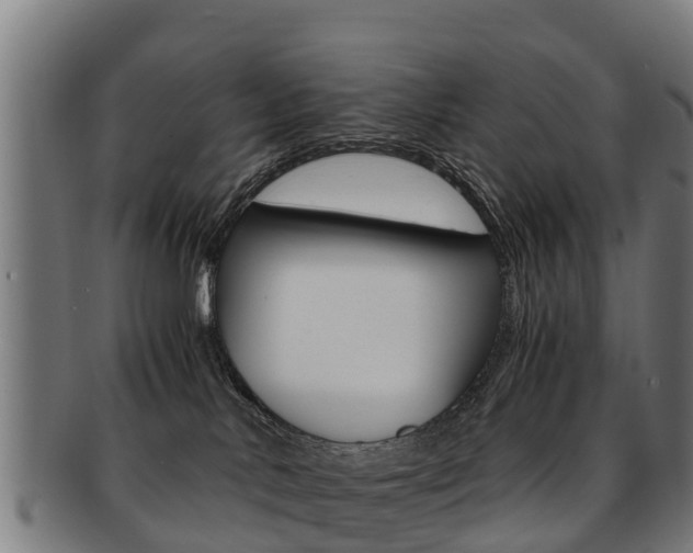 X0000091920042200709051239