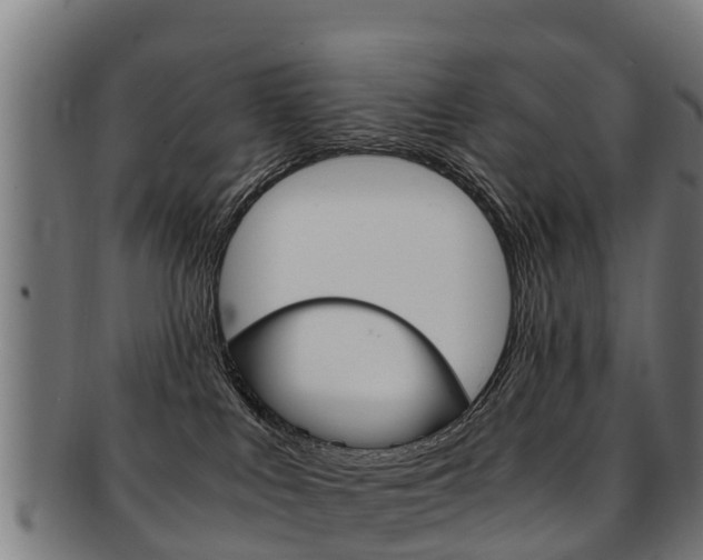 X0000091920043200709051239