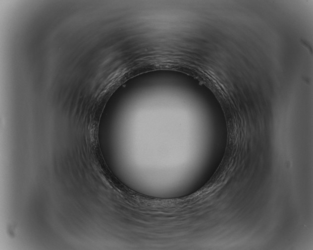 X0000091920044200709051239