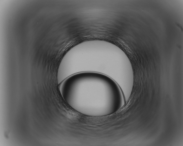 X0000091920045200709051239