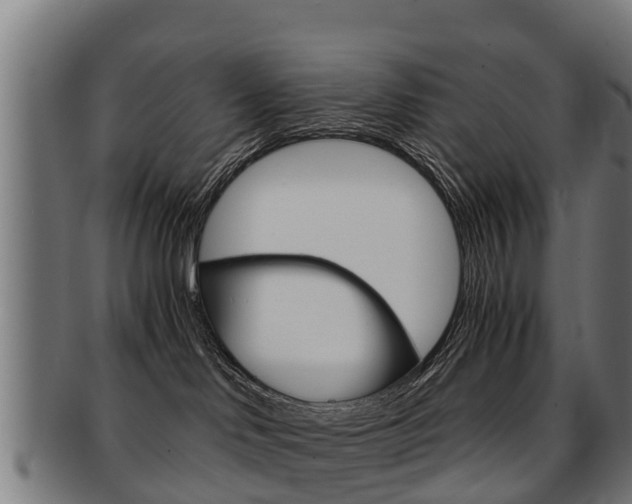 X0000091920046200709051239