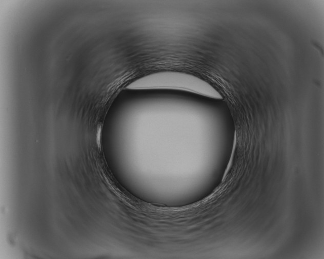 X0000091920047200709051239