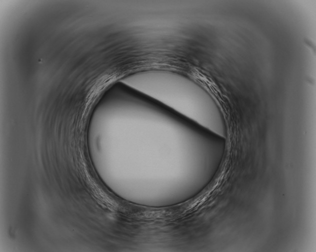 X0000091920049200709051239