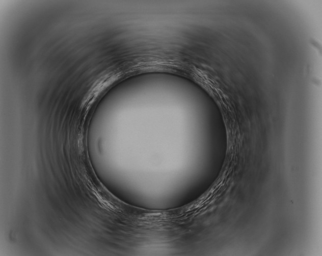 X0000091920050200709051239