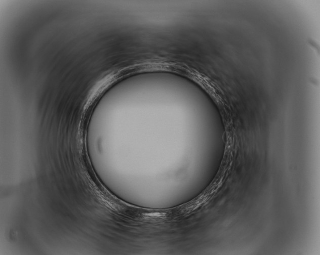 X0000091920053200709051239