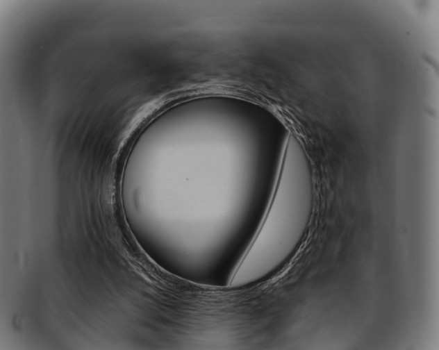 X0000091920056200709051239