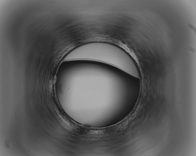 X0000091920057200709051239