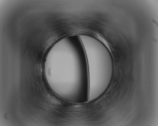 X0000091920059200709051239
