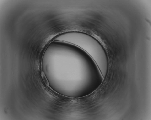 X0000091920060200709051239