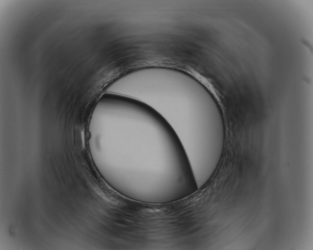 X0000091920061200709051239