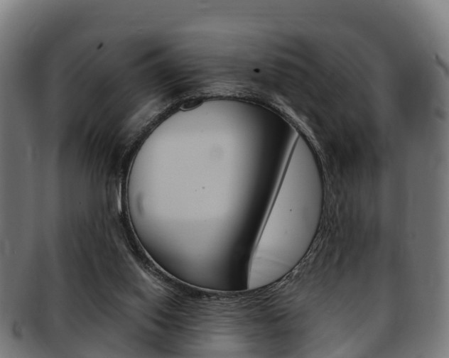 X0000091920062200709051239