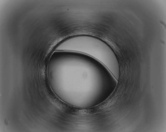 X0000091920064200709051239