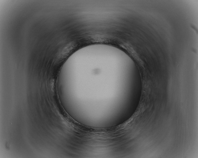 X0000091920066200709051239