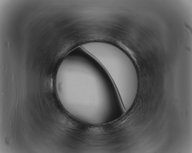 X0000091920067200709051239