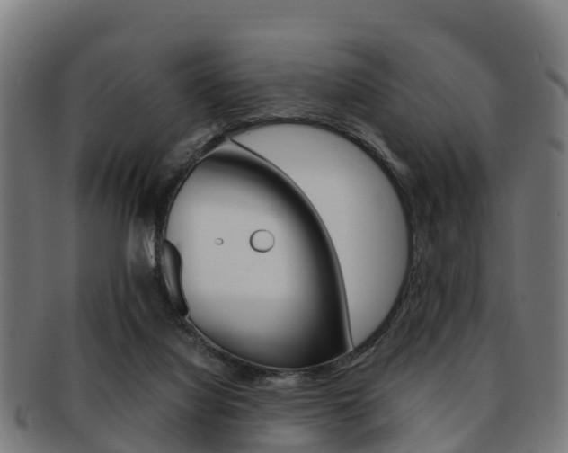 X0000091920068200709051239